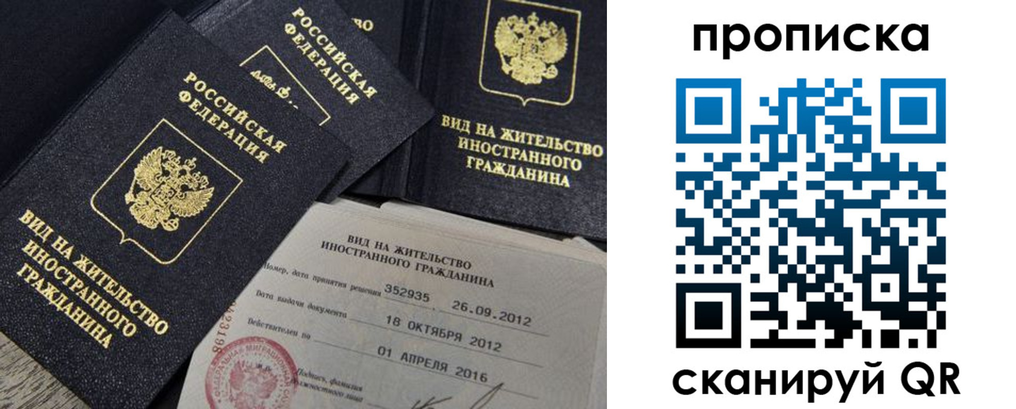 прописка в Стародубе